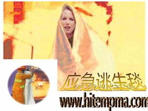 ��������̺